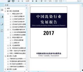 国产104页,深度解析我国科技发展的新篇章