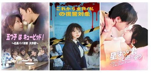 日韩国产毛片,文化冲突与伦理争议 第2张 日韩国产毛片,文化冲突与伦理争议 第2张