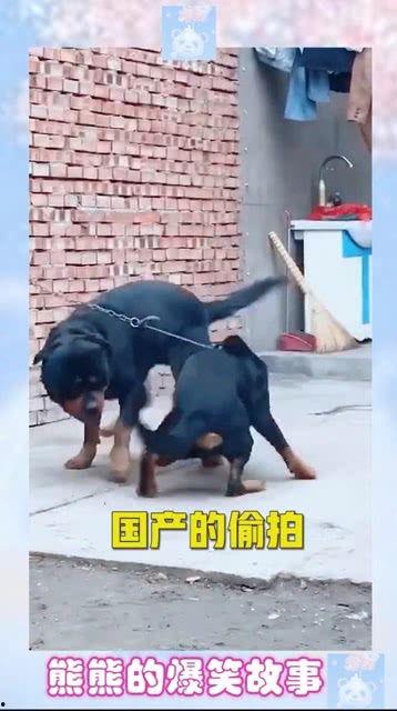 国产拍偷,揭秘镜头背后的偷拍艺术 第3张 国产拍偷,揭秘镜头背后的偷拍艺术 第3张