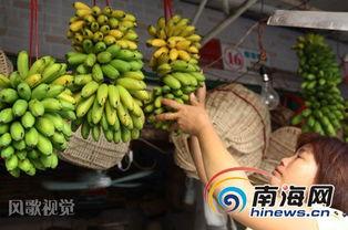 大香蕉之国产,大香蕉之国的繁荣与传奇 第3张 大香蕉之国产,大香蕉之国的繁荣与传奇 第3张