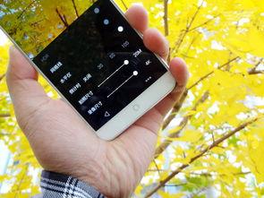 手机看片在线国产,手机看片，尽享国产影视魅力  第1张