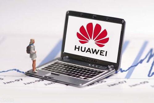 国产福利1000,1000项福利政策全面解读 第2张 国产福利1000,1000项福利政策全面解读 第2张